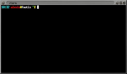 Linux X terminal