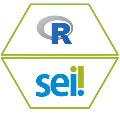 rsei website
